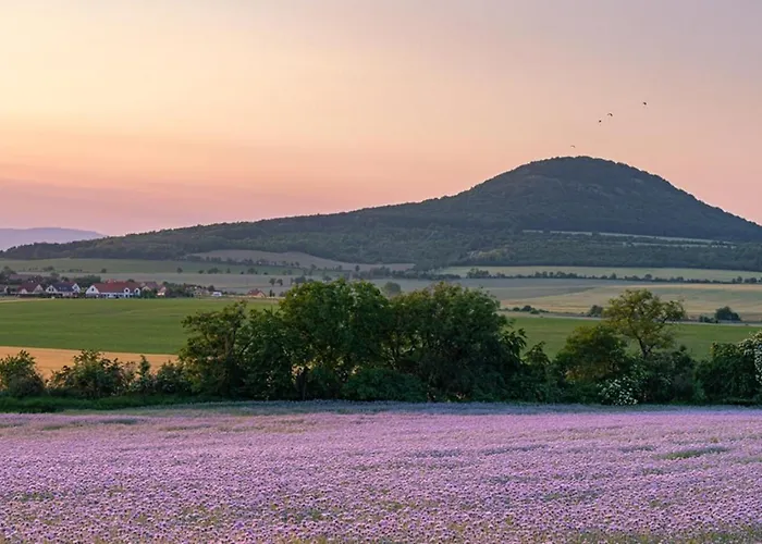 Apartman Nebuzely Appartement Nebuzely